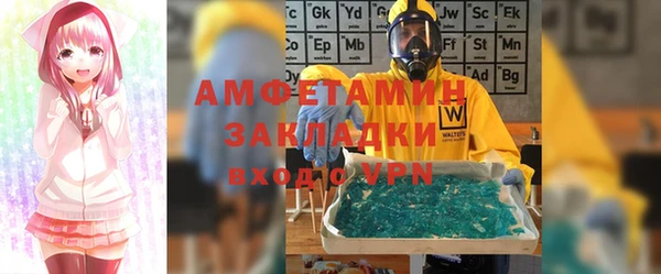 гидра Абаза