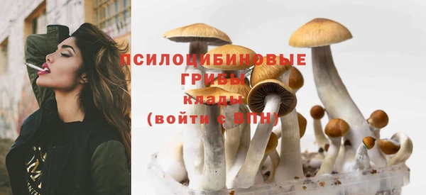 не бодяженный Абдулино