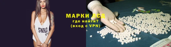 гидра Абаза