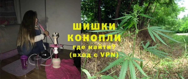гидра Абаза