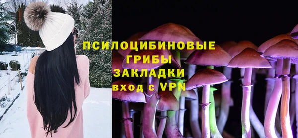 гидра Абаза